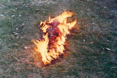 Ana Mendieta, Back to the Source, Marian Goodman Gallery