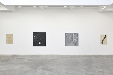 Paul Sietsema, , Marian Goodman Gallery