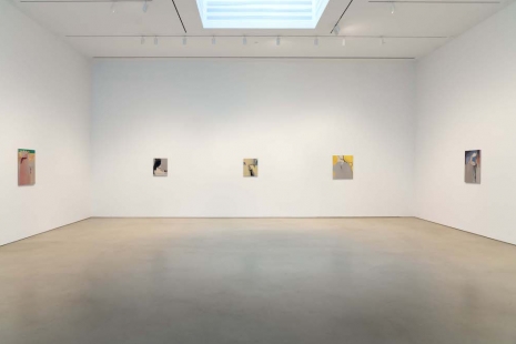 Rezi van Lankveld, Premonitions, Petzel Gallery