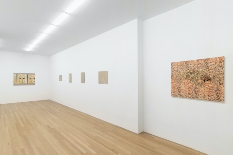 Vera Palme, Bottleneck, Galerie Buchholz