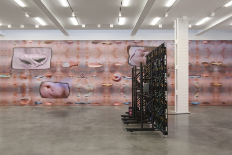 Tishan Hsu, emergence, Lisson Gallery