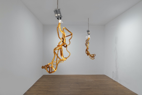 Allora & Calzadilla, Sensing, Galerie Chantal Crousel