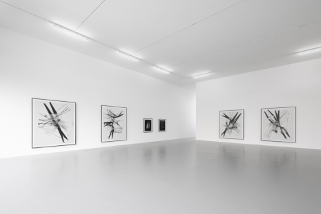 Thomas Ruff, , Lia Rumma Gallery