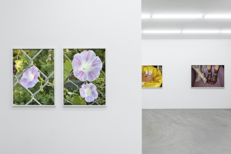 Roe Ethridge, Sensible Shoes, Mai 36 Galerie