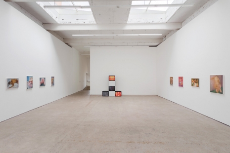 William E. Jones, It Only Looks As If It Hurts, The Modern Institute