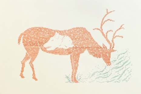 Claudia Losi , tempo crudo, Monica De Cardenas