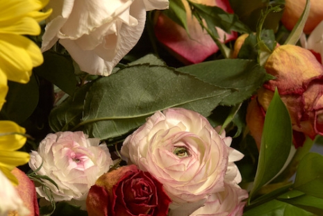 Roe Ethridge, Rude in the Good Way, Gagosian