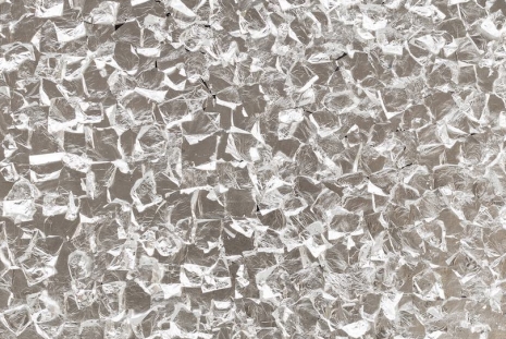 Allora & Calzadilla, David Douard, Wade Guyton, Udomsak Krisanamis, Nick Mauss..., FOG Design+Art - San Francisco, Galerie Chantal Crousel