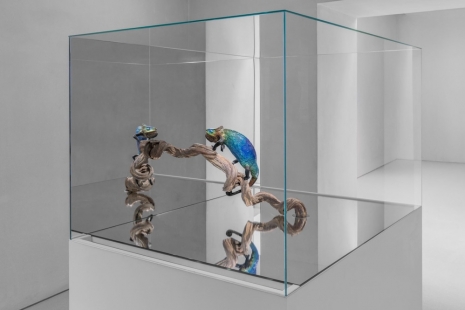 Agnieszka Kurant, Recursion, Marian Goodman Gallery