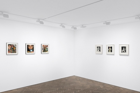 Linder, Where the tongue slips it speaks truth, Modern Art