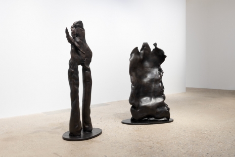 Simone Fattal, The Primeval Forest and The Hearth, Greene Naftali