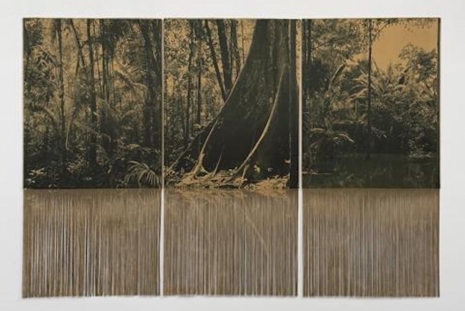 Ana González, RÍO, Sean Kelly