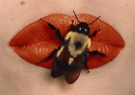 Irving Penn, , Gagosian