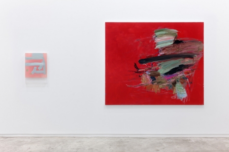 Helmut Dorner , One of my ghosts, Galería Ehrhardt Flórez