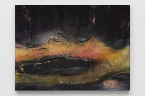 Leiko Ikemura, El Jardín Nocturno, Lisson Gallery