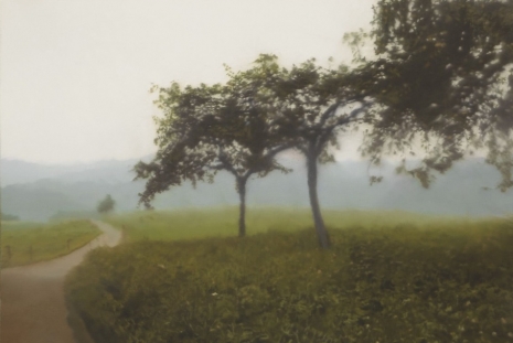Gerhard Richter, Landschaften, David Zwirner