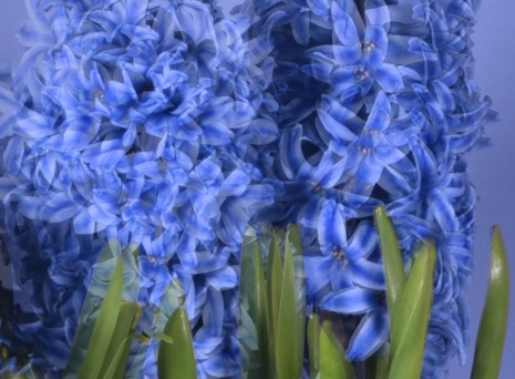 T.J. Wilcox, Judith Eisler, Wade Guyton, Pae White, Forever: 20th Anniversary Exhibition, GAVLAK