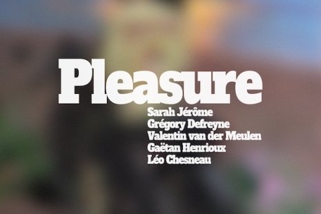 Léo Chesneau, Sarah Jérôme, Valentin van der Meulen, Grégory Defreyne..., Pleasure, Au Cube