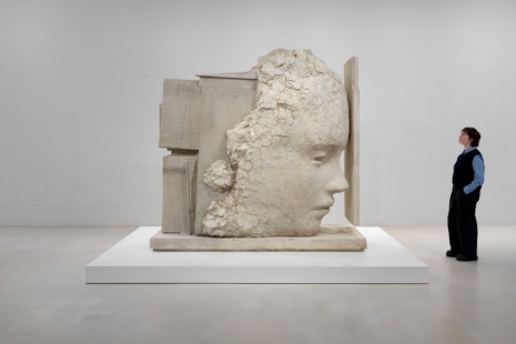 Mark Manders, , Tanya Bonakdar Gallery