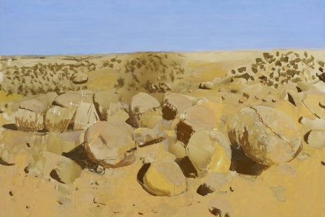 Gilles Aillaud, ARCOmadrid, Loevenbruck