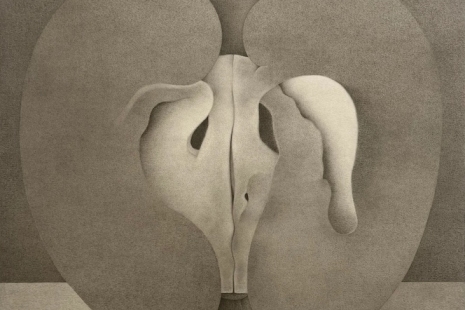 Shao Fan, , White Cube