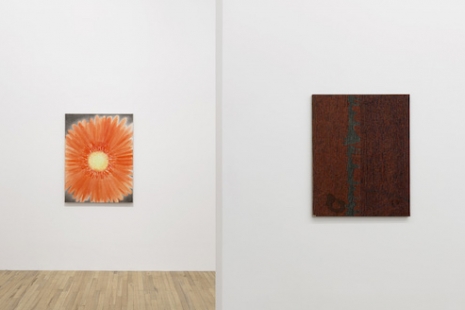 Uri Aran, Fran Chang, Nino Kapanadze, Kristy Luck, Marta Naturale..., Measures of Intimacy, Andrew Kreps Gallery