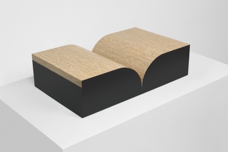 Richard Artschwager, Approximate Objects, Gagosian