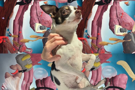 Stefanie Heinze, Your Mouth Comes Second | Book Presentation, Readings, Artist Talk, New Works, Capitain Petzel