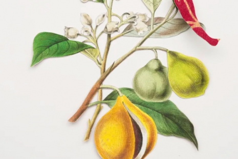 Ishita Chakraborty, East Is Everywhere, Galerie Peter Kilchmann