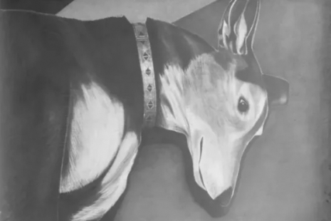 Marc Bauer, Side by Side, Galerie Peter Kilchmann