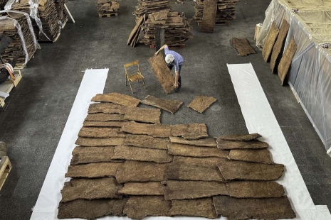 Giuseppe Penone, The Reflection of Bronze , Gagosian