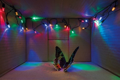 Alexander Brodsky, Susanne Kutter, miart - Milan, MAAB Gallery