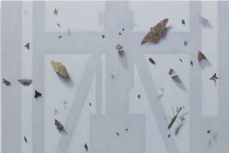 Gonçalo Preto, The Ballads of a Sundial, Pedro Cera