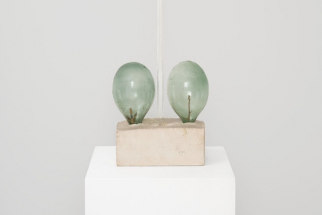 Robert Rauschenberg, Important Early Works from the Cy Twombly Foundation, Gagosian