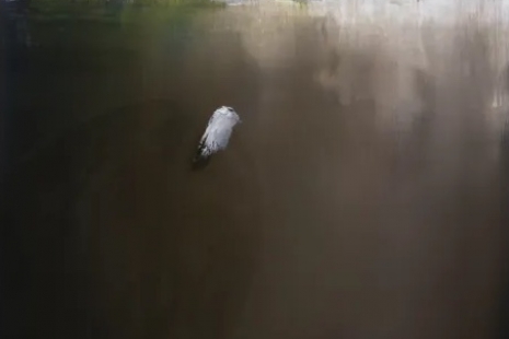 Yasuko Hirano, , galerie frank elbaz