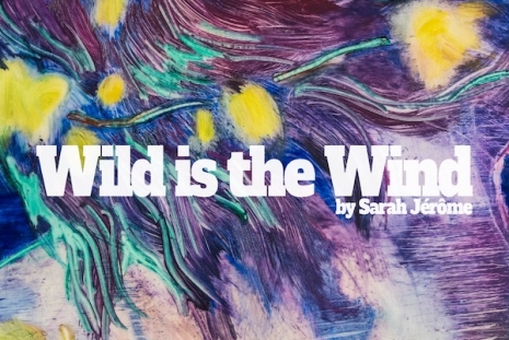 Sarah Jérôme, Wild is the wind, Au Cube