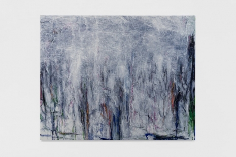 Yoko Matsumoto, Gazed at by Nature, White Cube