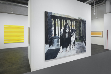 Silvia Bächli, Pierre André Ferrand, Franz Gertsch, Fabrice Gygi..., Art Basel, SKOPIA