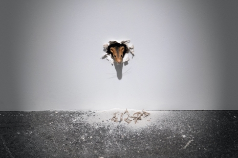 Ryan Gander, Art Basel Unlimited, Lisson Gallery