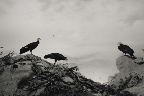 Hiroshi Sugimoto, , Lisson Gallery