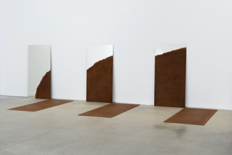 Doug Aitken, Alicja Kwade, Rob Pruitt, Sam Falls, Mary Heilmann..., Trait Transference, 303 Gallery