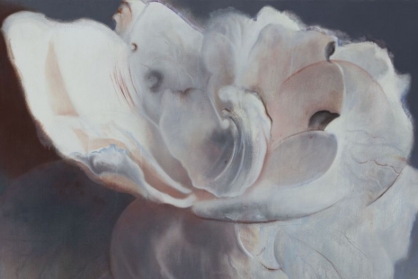 Xie Qi, UNTITLED EVENT, Perrotin