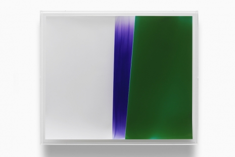 Wolfgang Tillmans, Glade / Clairière, Galerie Chantal Crousel