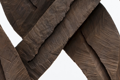 David Nash, Catching Forms. Wood to Bronze, Galerie Lelong