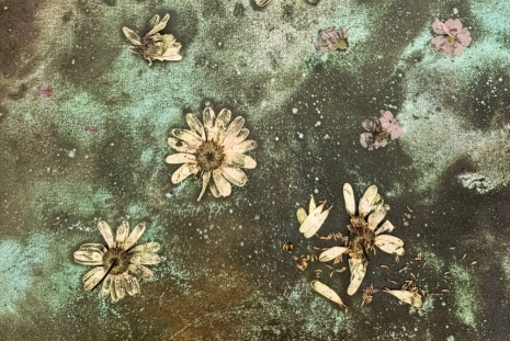 Lucy Dodd, , Sprüth Magers