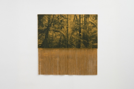 Marina Abramović, Jose Dávila, Awol Erizku, Magdiel García Almanza..., Aspen Art Fair, Sean Kelly
