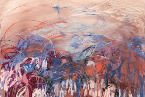 Janaina Tschäpe, À flor da pele, Galleri Bo Bjerggaard