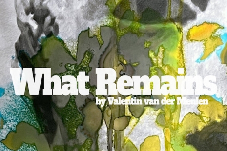 Valentin van der Meulen, What Remains, Au Cube