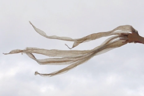Edith Dekyndt, Notes on What is What, Marian Goodman Gallery