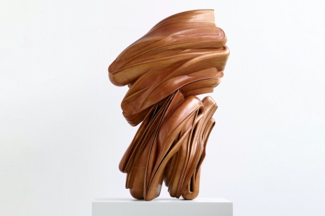 Tony Cragg, , Marian Goodman Gallery